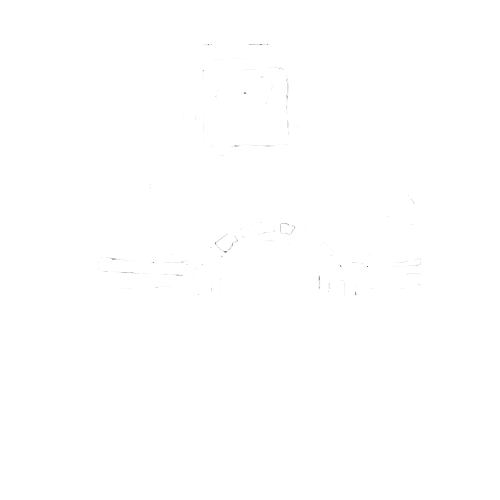 Logo Cecile Takes Pictures wit