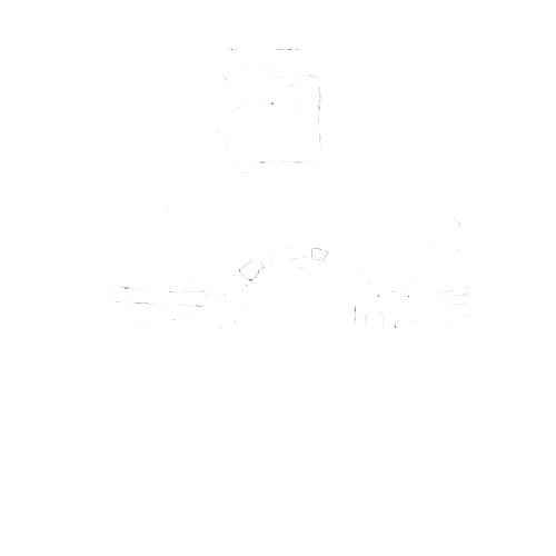 Logo Cecile Takes Pictures wit